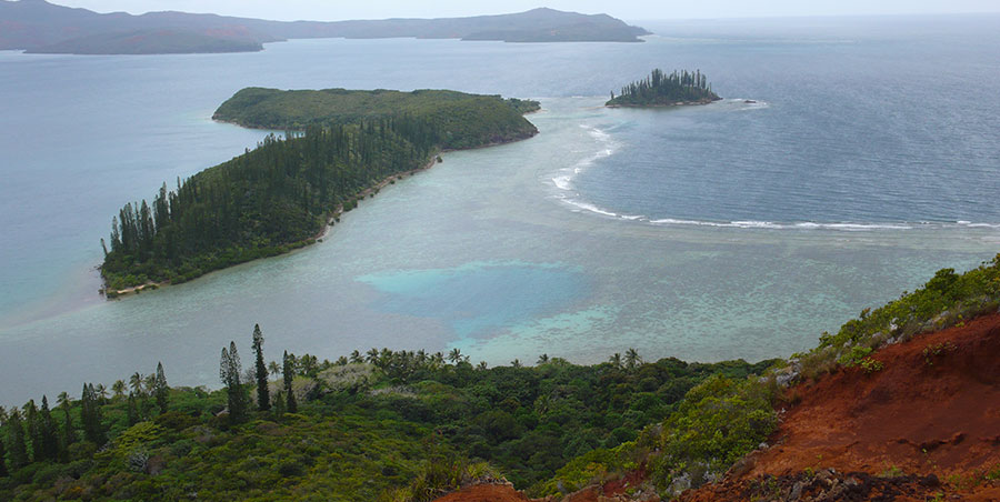 &icirc;l&ocirc;t porc-epic